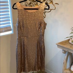Silver/nude sequin party dress